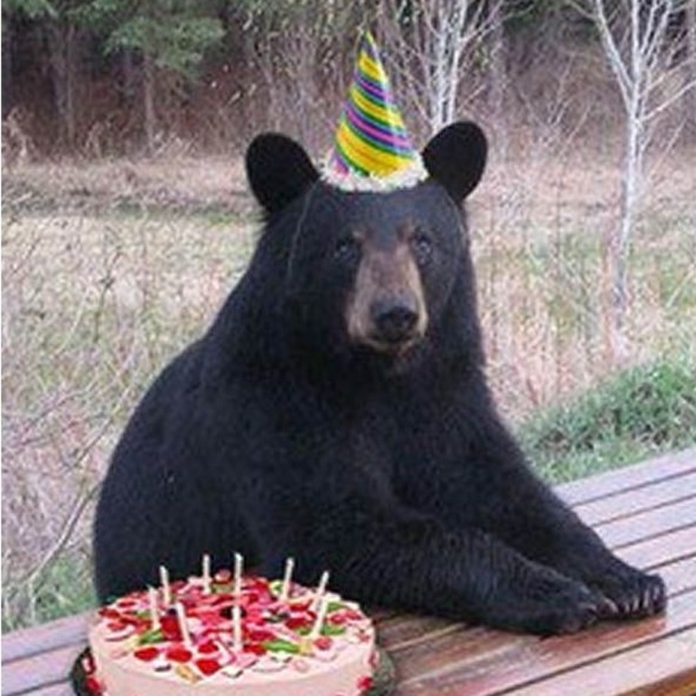 Meet your Posher, Mattea